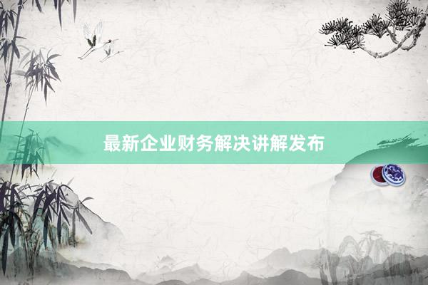 最新企业财务解决讲解发布